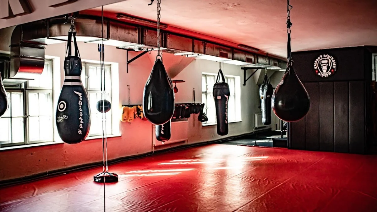 Fit and Fight Factory-photo-4.webp