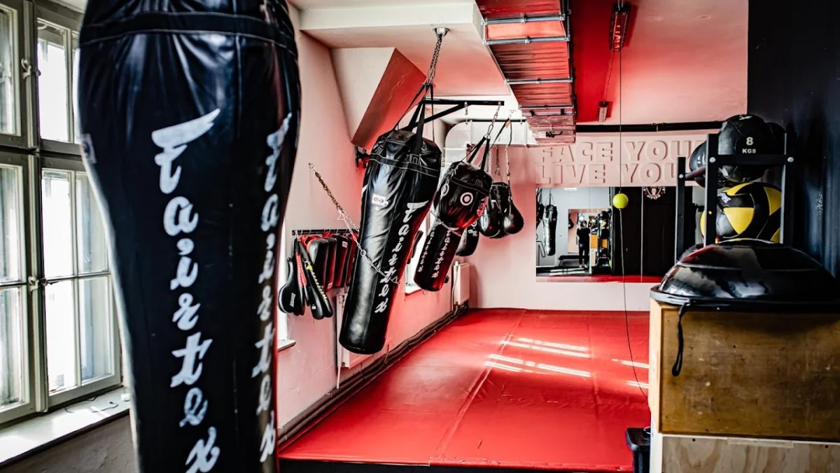 Fit and Fight Factory-photo-8.webp