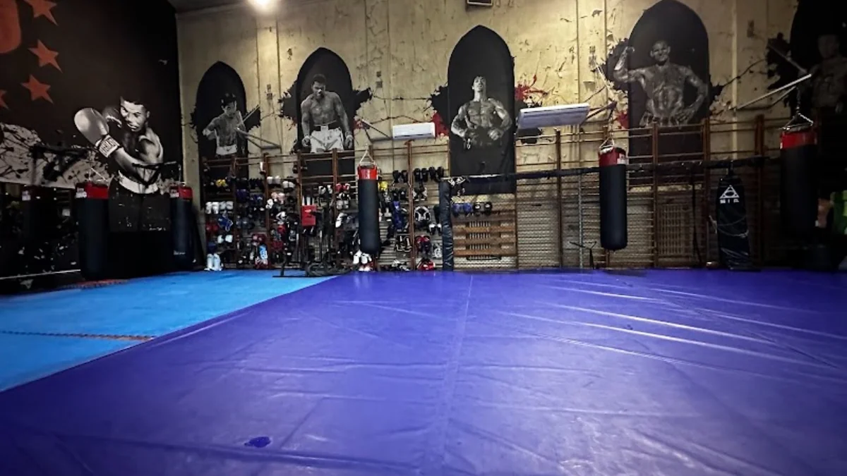 KO GYM Muaythai Wroclaw-photo-6.webp