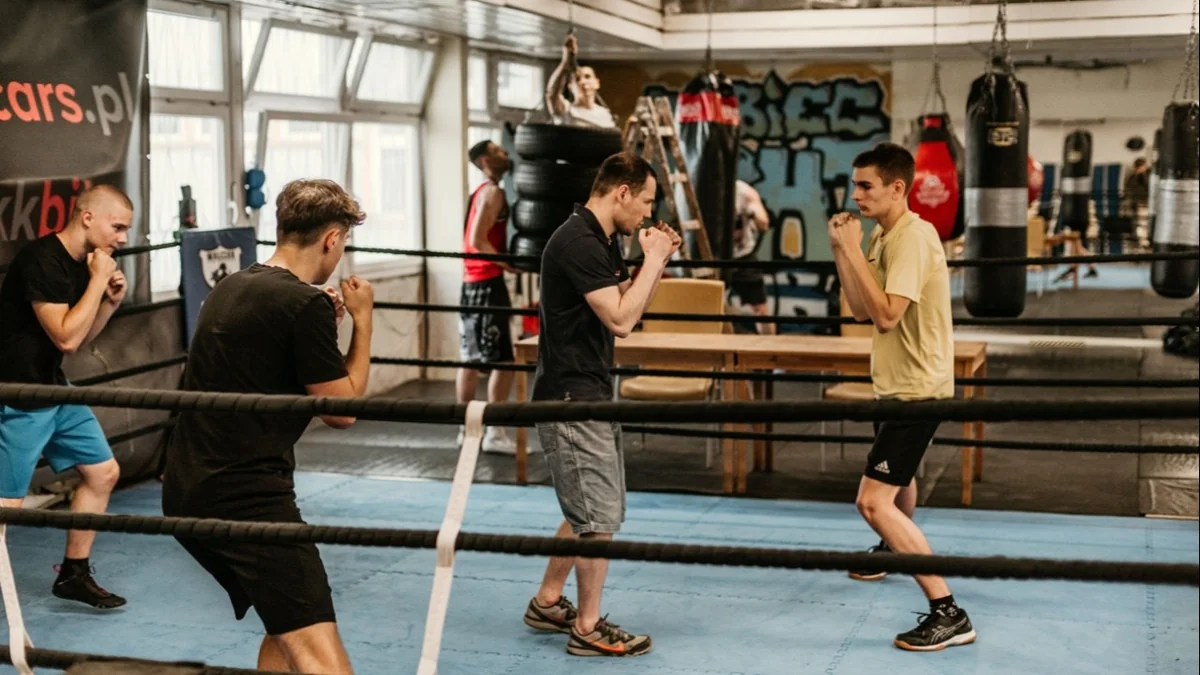 Klub Bokserski Walczak Poznań-photo-2.webp