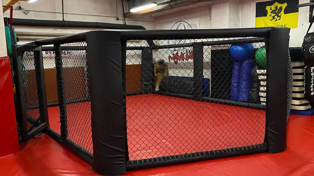 Mighty Bulls-photo-5.webp