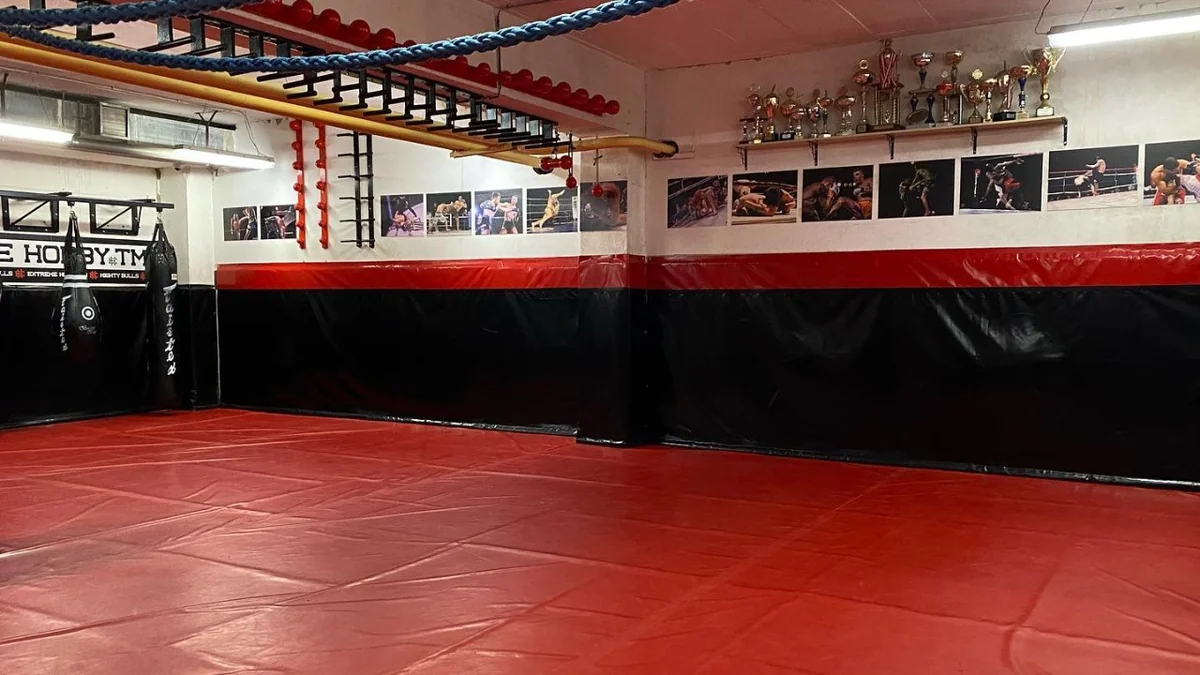 Mighty Bulls-photo-6.webp