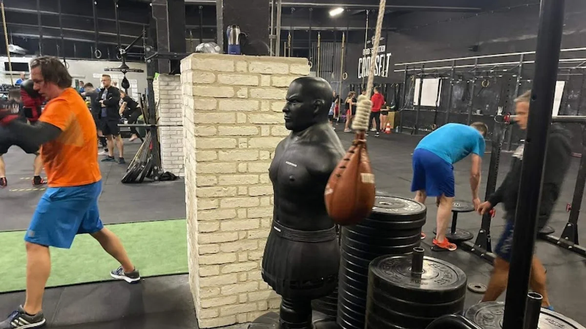 Royal Boxing Team - boks amerykański-photo-2.webp