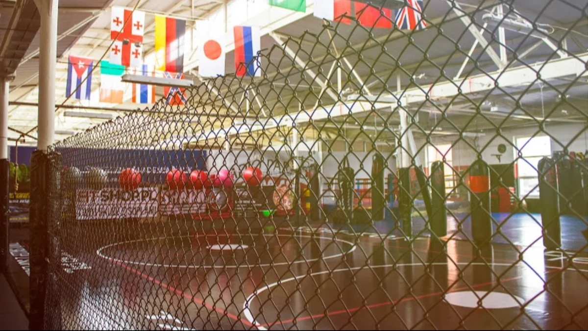 SHARK Klub Sportów Walki-photo-3.webp