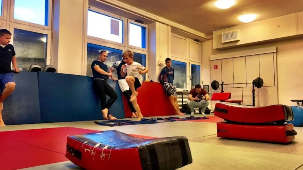 Toruńska Akademia Sportów Walki-photo-4.webp