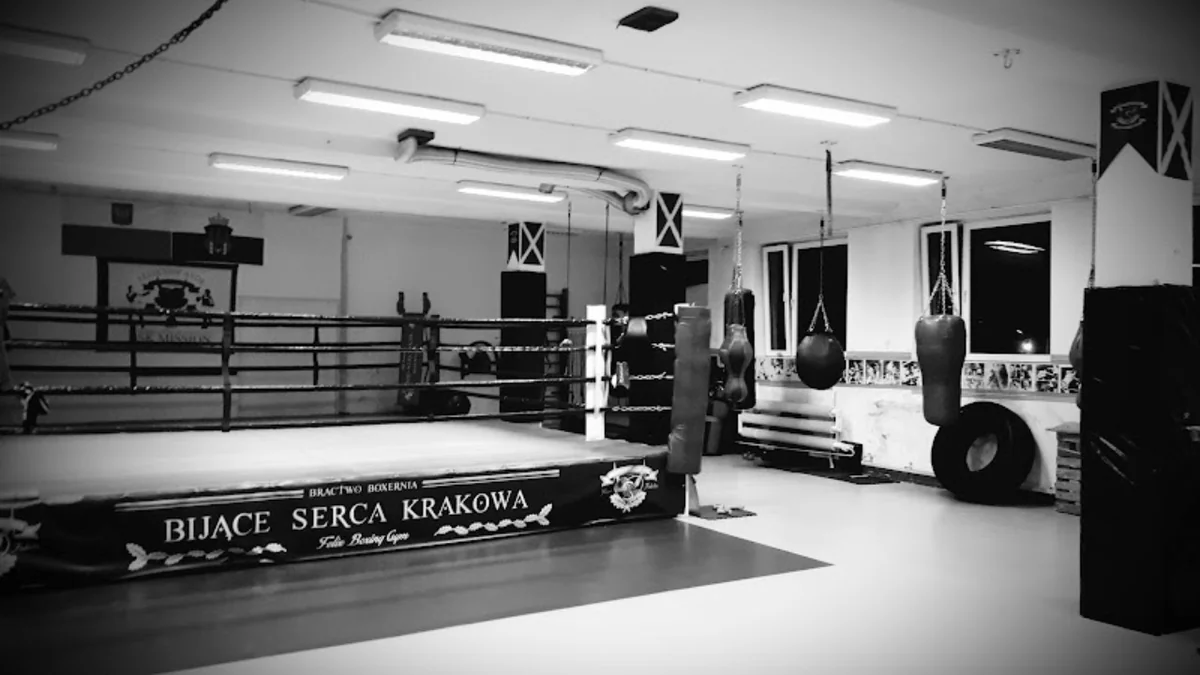 BOXERNIA BIJĄCE SERCA KRAKOWA-photo-5.webp