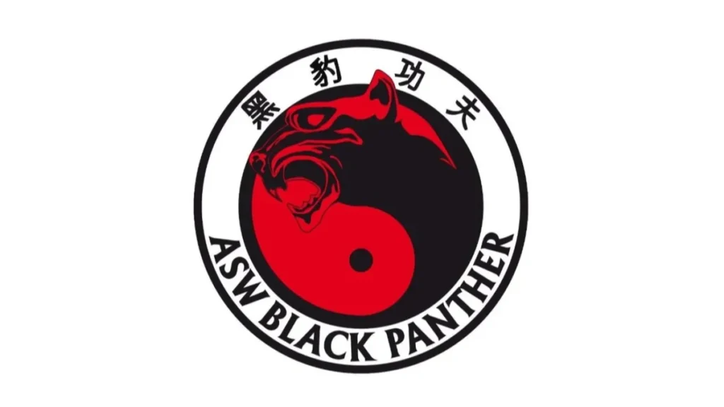 ASW Black Panther-photo-4.webp